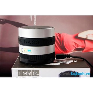 Loa Bluetooth Powermax TM-01C mini