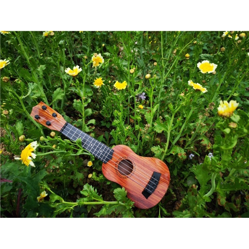 Đàn ukulele Concert - size 38cm