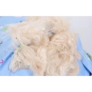 #Gòn Trái Tự Nhiên (1Kg)