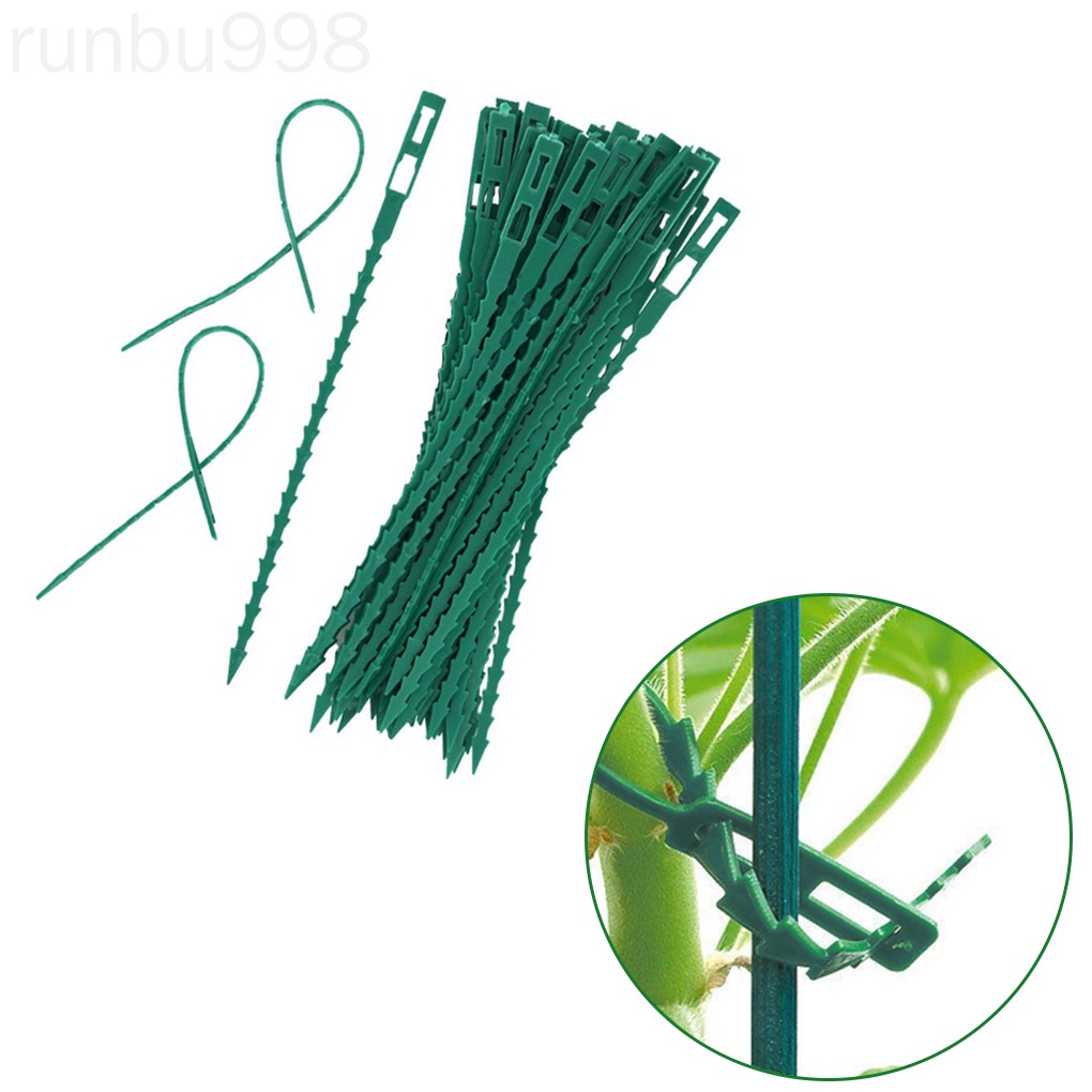 Set 50 Dây Nhựa Buộc Cây Leo Có Thể Điều Chỉnh Và Tái Sử Dụng Hỗ Trợ Runbu998