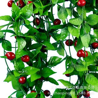 Dây dây quất - cherry dài 2.4m - Trang trí đẹp - Dây leo hoa giả lụa