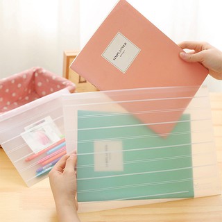 Túi zip A4 đựng tài liệu sách vở T4S29.24-2019