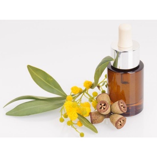 Tinh Dầu Bạch Đàn Chanh Organic ( Lemon Eucalyptus essential oil) 10ml