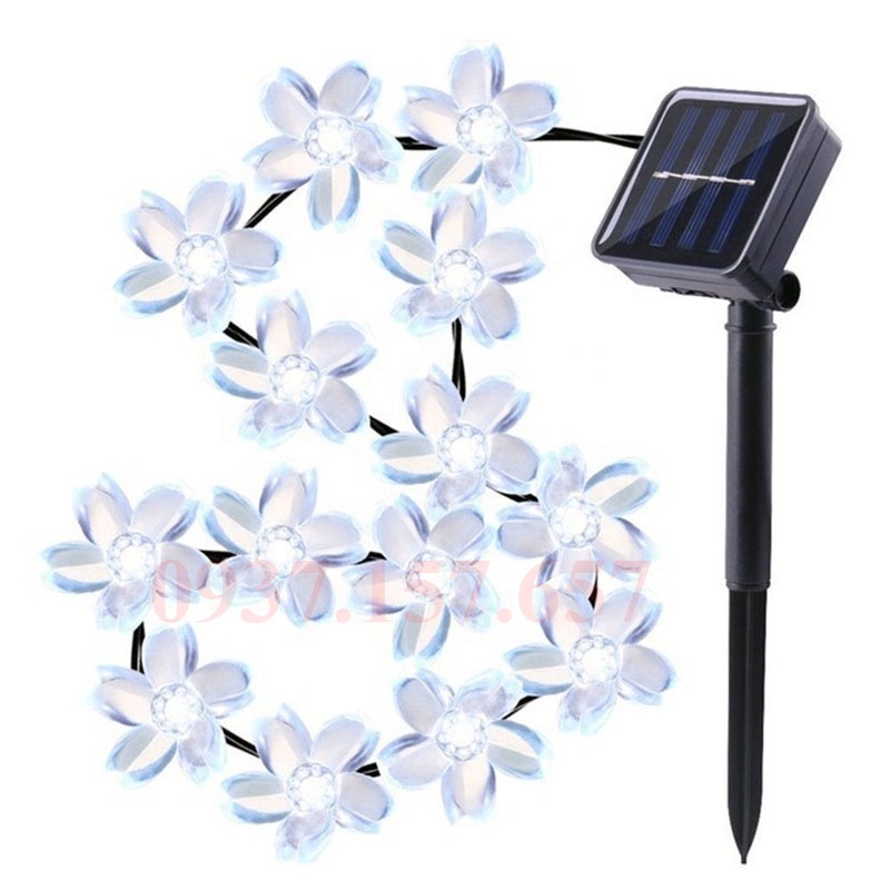 Đèn LED dây năng lượng mặt trời hình hoa mai 5M 50LED