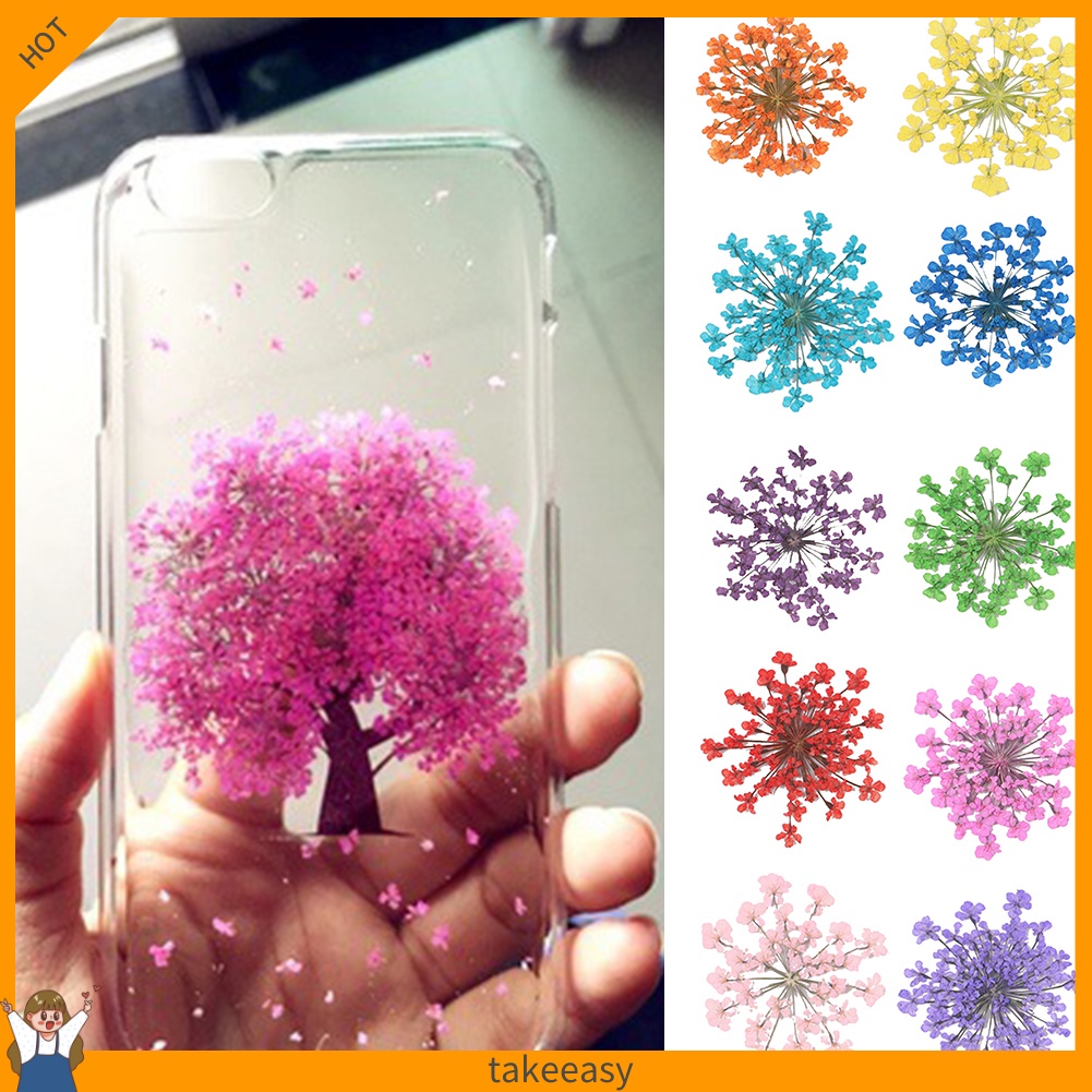 100 Hoa Khô Trang Trí Móng Tay