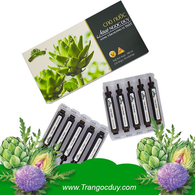 Cao Nước Atiso Ngọc Duy cao ngọt hộp 10 ống