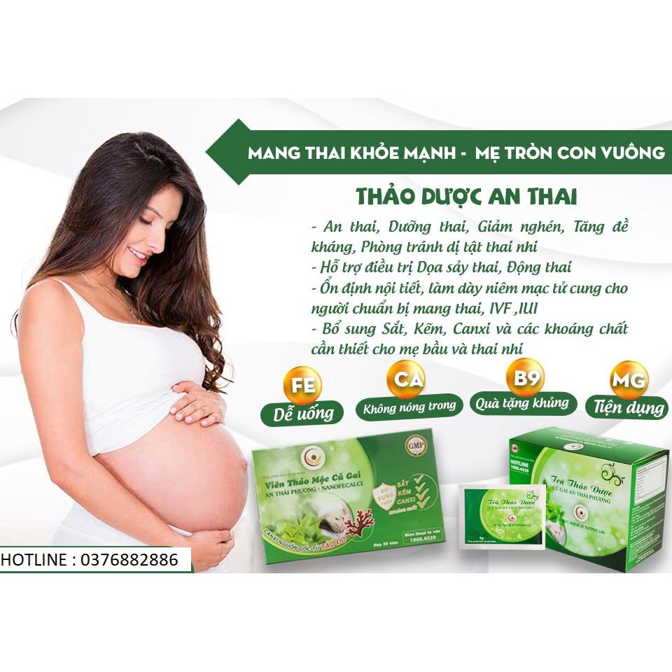 TRÀ THẢO DƯỢC CỦ GAI AN THAI - AN THÁI PHƯƠNG BỊCH 10 GÓI GIÚP AN THAI HẾT NGHÉN CHO MẸ THAI KÌ AN NHÀN