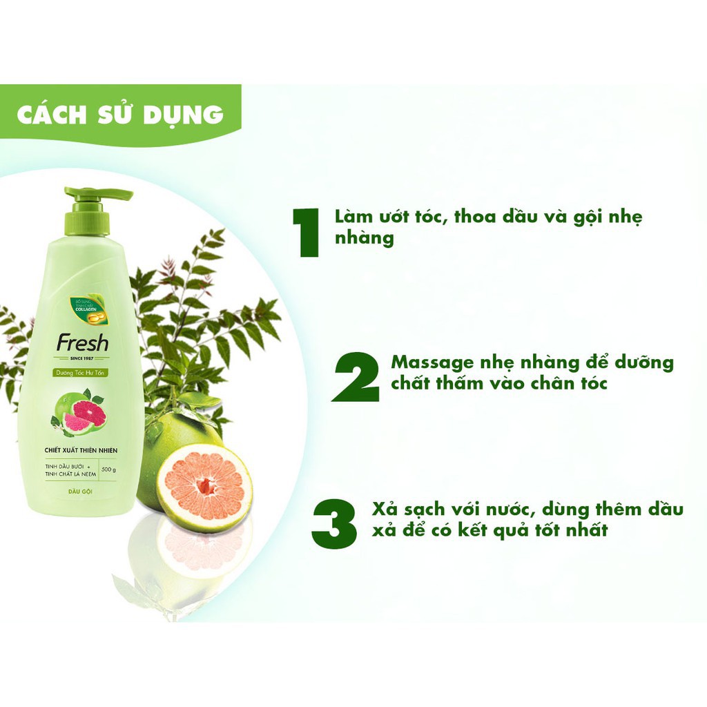 Combo Dầu Gội Fresh Tinh Dầu Bưởi 550g và Dầu Xả 170g | BigBuy360 - bigbuy360.vn