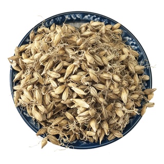 Trà Hạt lúa mạch lên mầm rễ sấy khô 100g.