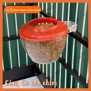 Cóng ăn cho chim , cóng chim chào mào
