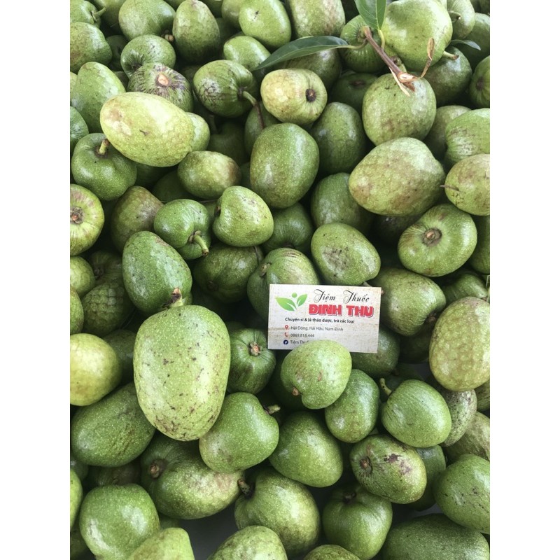 Quả Bình Bát tươi