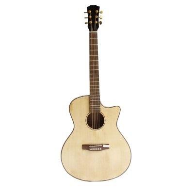 Đàn Guitar Acoustic Có Ty Chống Cong Cần HM2020 [Hỗ trợ học nhạc qua video]