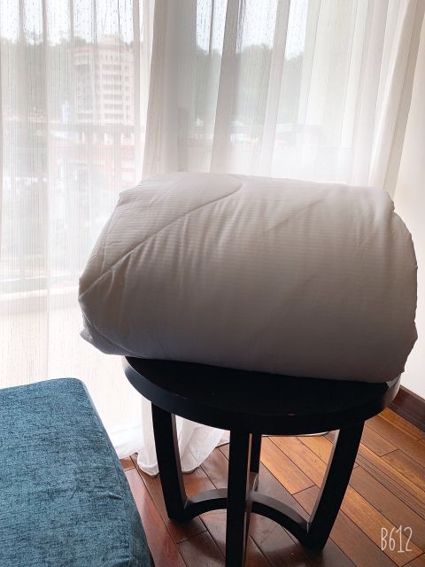 Ruột chăn / ruột gối Muji