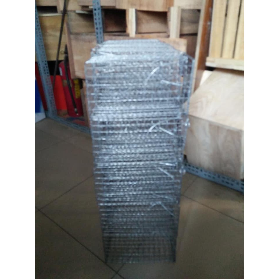 Combo 2 bẩy chuột . sóc loại lớn