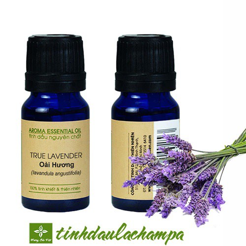 Tinh dầu Oải Hương True La-champa (True Lavender Certified Organic) dung tích 10ml/chai