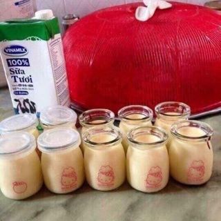 Combo 12 hũ làm sữa chua