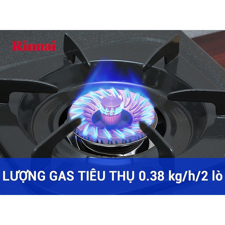 [Mã 267ELSALE hoàn 7% đơn 300K] Bếp gas đôi Rinnai RV-367(G)N + Van Dây - Hàng Chính Hãng