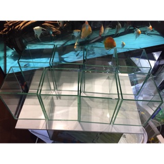 Bể cá Betta mini kích thước DRC 15-10-15 cm