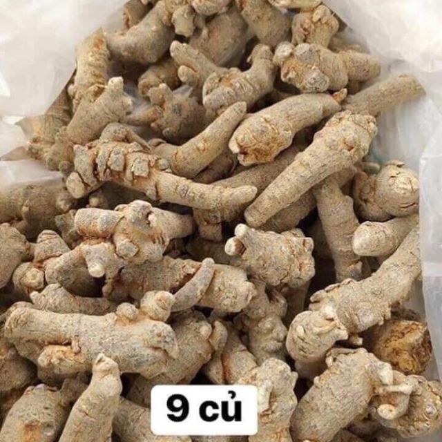 1kg tam thất bắc 90 củ /1kg