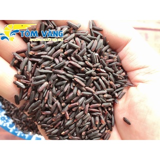Combo 10kg gạo lứt đen Tôm vàng ( tím than)