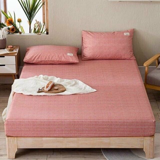 Bộ ga gối Tici 3 món