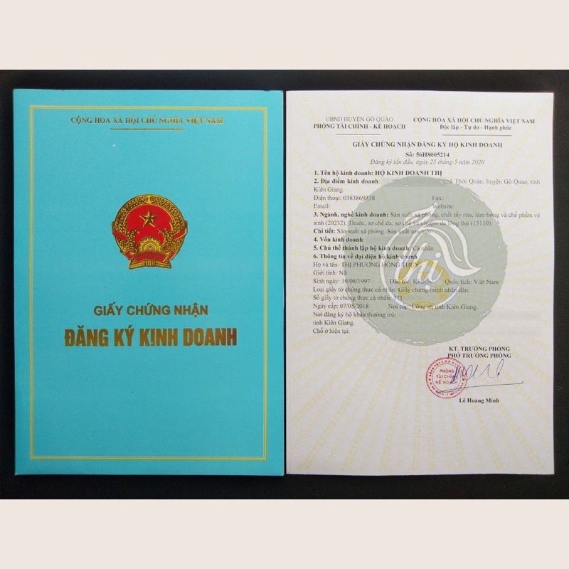 Dầu gội bồ kết thảo dược cô đặc sạch gàu mọc tóc, chống rụng tóc, hết nấm ngứa da đầu - Handmade từ Thị ☘️ | BigBuy360 - bigbuy360.vn