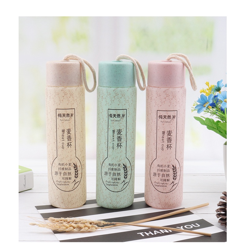 Bình đựng nước lõi thủy tinh, vỏ nhựa, mẫu mã độc đáo giữ nóng lạnh 6 đến 8 tiếng