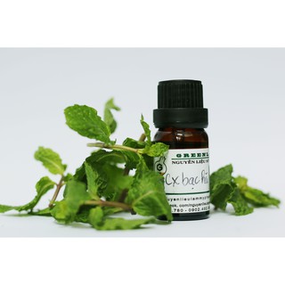 Chiết xuất bạc hà (Mint Extract) Greenlab - 50g / 100g - Nguyên liệu mỹ phẩm