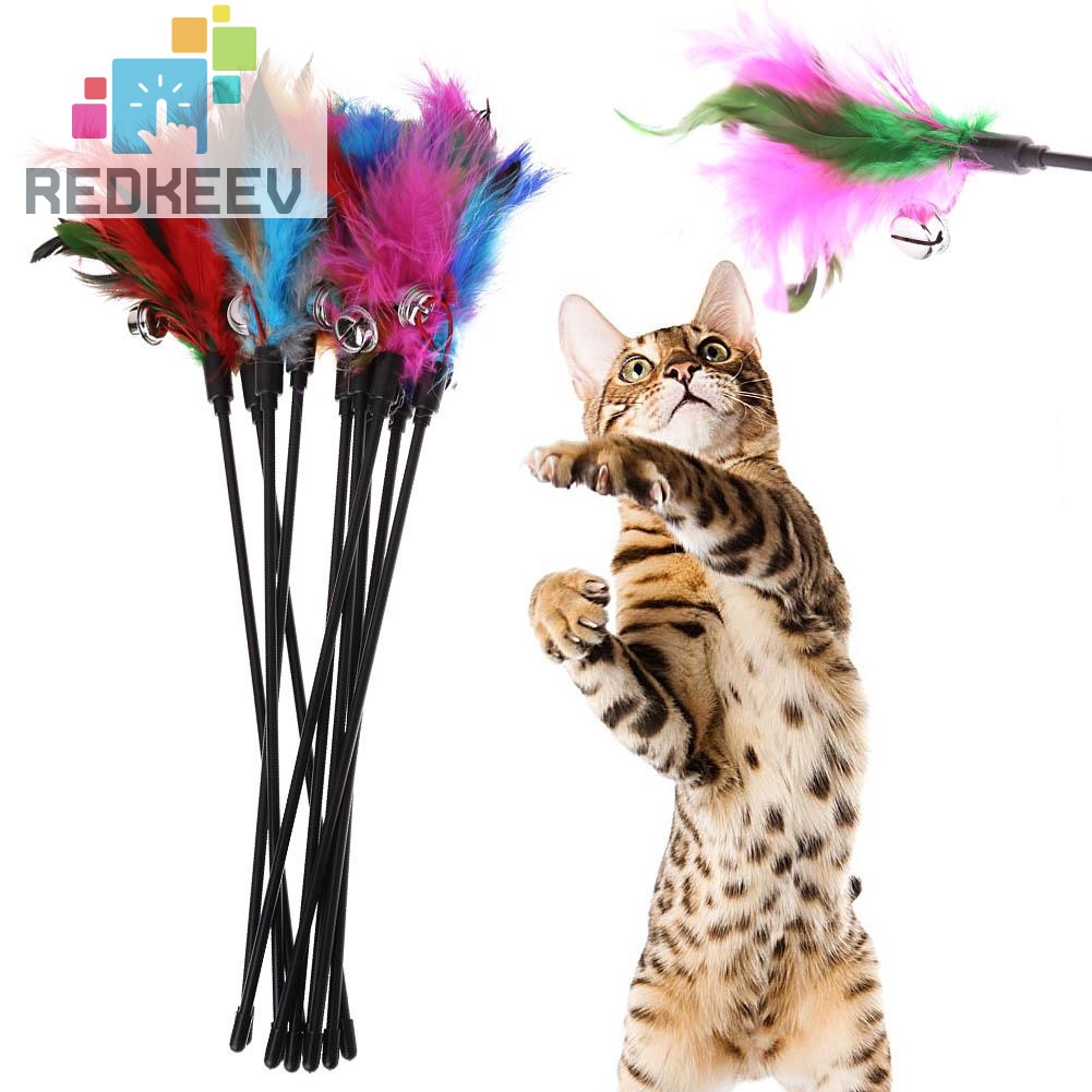 Set 10 cây lông vũ nhiều màu sắc dành cho mèo