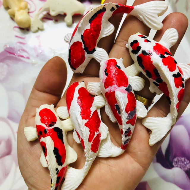 Cá koi trang trí tiểu cảnh