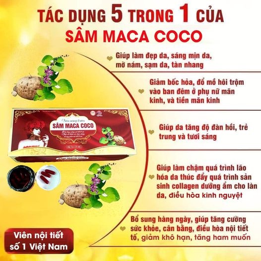 Sâm MACA COCO - Viên Uống Nội Tiết Dành Cho Phụ Nữ Tiền Mãn Kinh, Tăng Cường Nội Tiết Tố, Đẹp Da