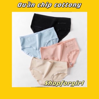 CÓ SẴN - Quần chip Cottony nhiều màu (Giao màu ngẫu nhiên) -SHOPFORGIRL