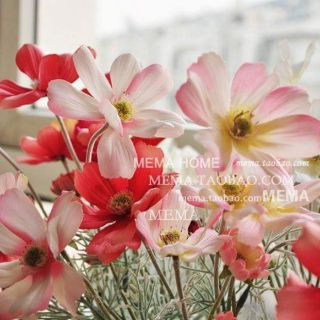 Hoa lụa - hoa cánh bướm