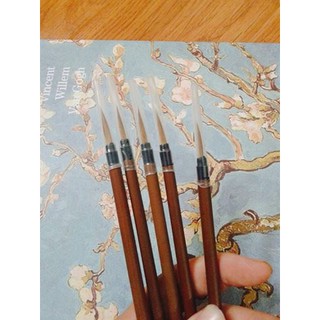 Cọ tỉa lông sói Hoa Chi Tiếu