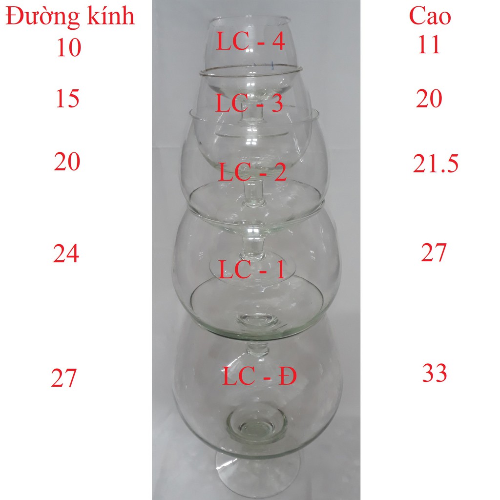 Bể Cá Ly Vừa LC2 21.5x20CM - Hồ Cá Để Bàn - Chậu Cá Thủy Tinh [LC2]