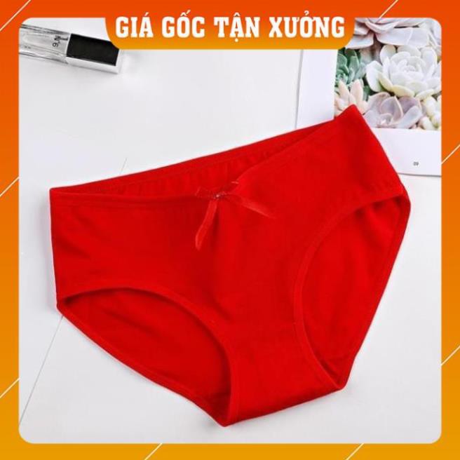 [Hàng Chất Lượng Cao]  Sét 04 quần Lót Cotton trơn Quảng Châu kháng khuẩn xuất Nhật Q1