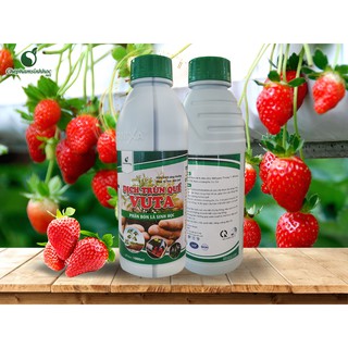 Phân bón lá sinh học - dịch trùn quế vuta