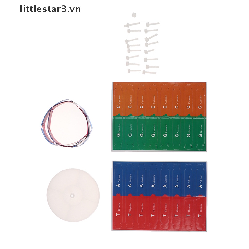 Mô Hình Khoa Học Dna Genetic