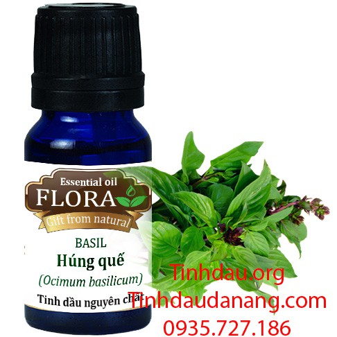 Tinh dầu húng quế FLORA