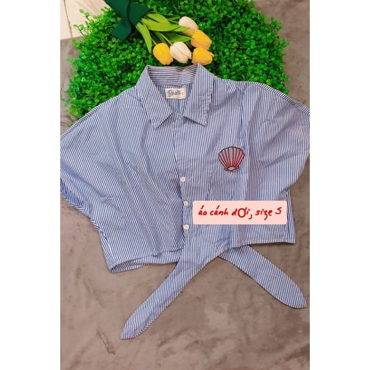 Thanh lý lô áo kiểu