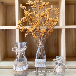 lọ và hoa decor