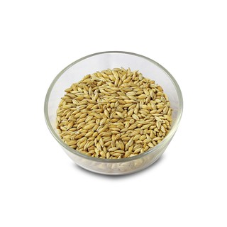 Malt nấu bia Carapils/ Carafoam Malt