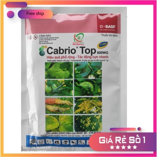 Cabrio Top 600WG Thuốc trừ bệnh Dưa hấu bị sương mai-Dưa leo bị sương mai