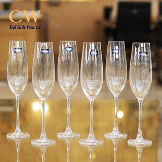 Ly rượu champagne pha lê tiệp bohemia columba cao cấp 260ml bộ 6 chiếc