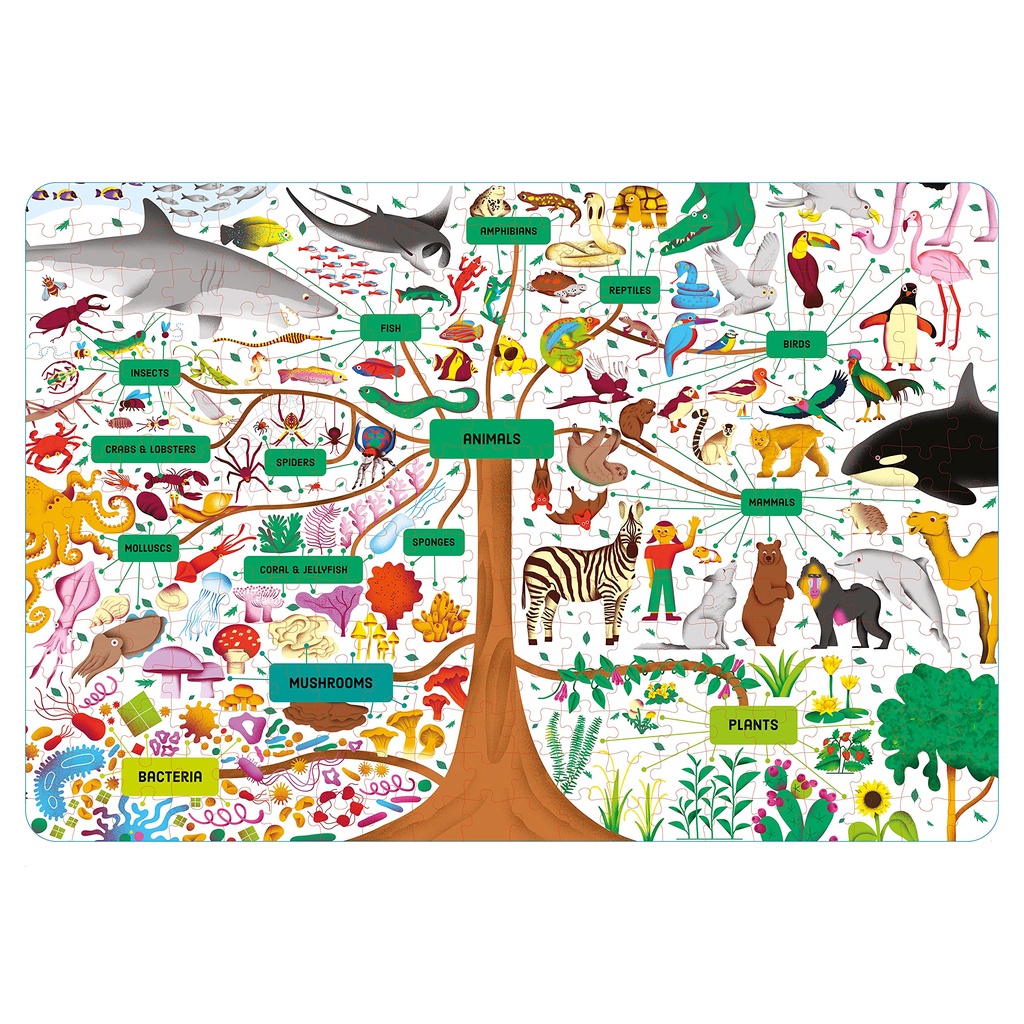 Sách - Anh: Usborne Book And Jigsaw: Tree Of Life