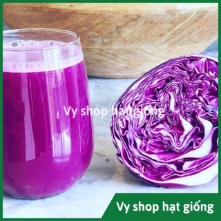 Hạt giống bắp cải tím gói 170 hạt