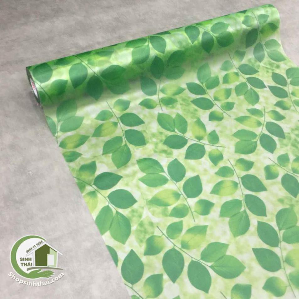 Giấy dán kính lá cây màu xanh -  - có sẵn keo