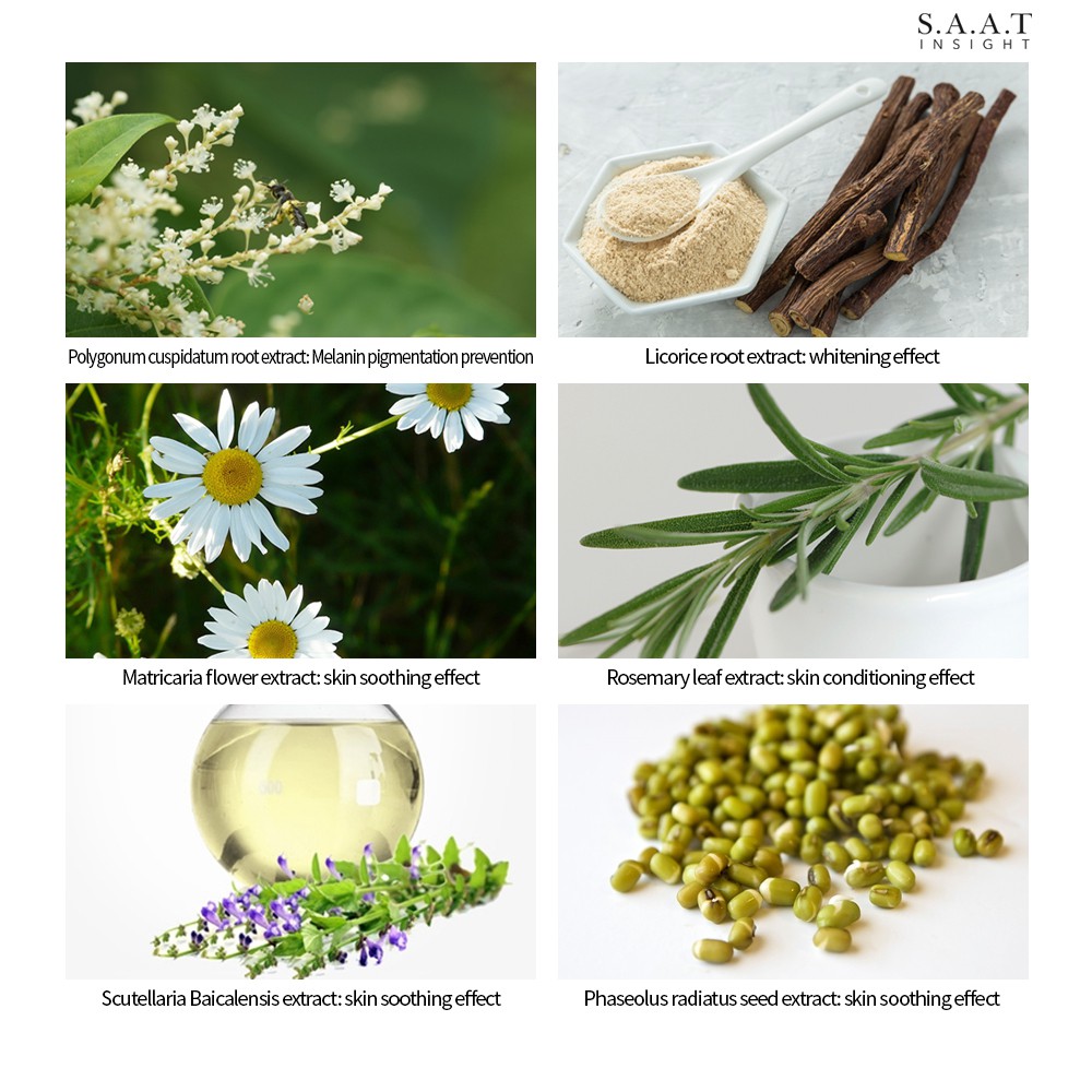 Chai Xịt SAATINSIGHT Cố Định Lớp Trang Điểm Thể Tích Thực 50ml | BigBuy360 - bigbuy360.vn