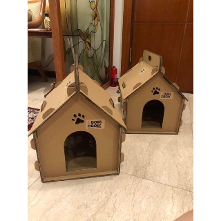 Nhà giấy đẹp cho Mèo