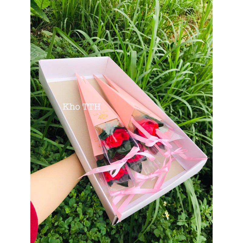 Hoa sáp, hoa nhũ hộp mika